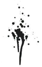 Webdesign Bitterfeld-Wolfen | günstige Firmenhomepage