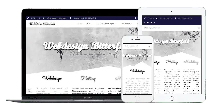 Ionos WordPress- Homepage Bitterfeld